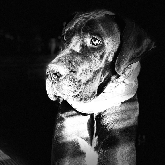 Hello! If you are here, thank you for checking out my page. I appreciate you! 🧡 - Picture 5 of 16